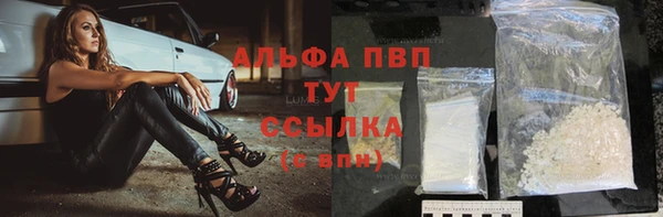 дживик Белокуриха