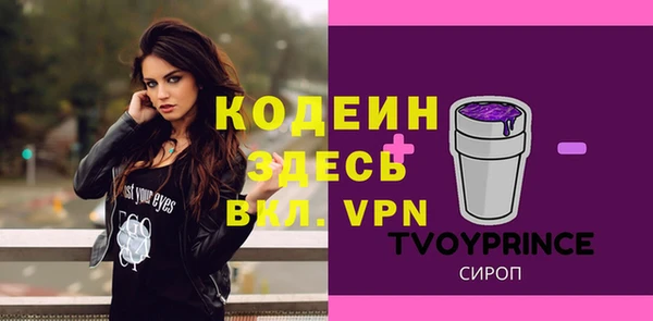 дживик Белокуриха