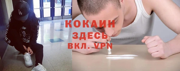 дживик Белокуриха